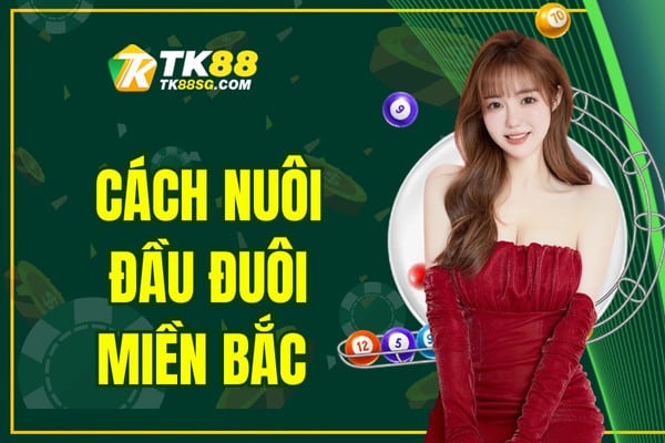 Cách Nuôi Đầu Đuôi Miền Bắc - Mẹo Đánh Là Thắng 2025