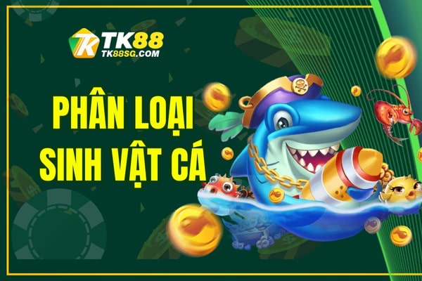 Phân loại sinh vật khi bắn cá - Chiến lược săn cá hiệu quả
